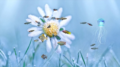 4k护眼水母水族箱