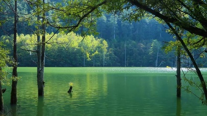 碧水