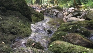 溪流