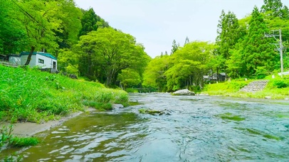 夏日护眼绿林河流