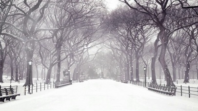 唯美雪景