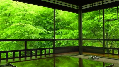 幽静的绿树庭院