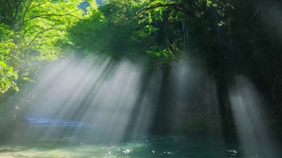 绿林阳光雾气流水