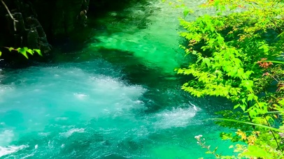 清凉夏日溪流