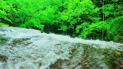 4K唯美激流情侣