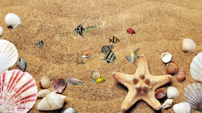 放松心情海洋鱼儿游动