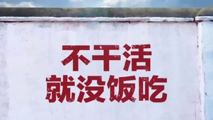 努力拼搏，加油奋斗