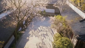 春日阳光庭院空地光影