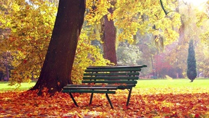 公园长椅，秋天落叶