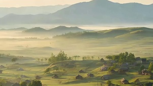 山川绿景带鱼屏