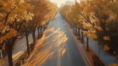 秋日城市落日无人道路