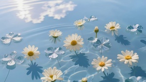 水中花朵