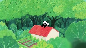 森林菜园害羞的小熊猫