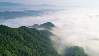 青山白云