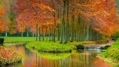 自然秋林草地溪流