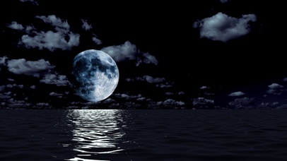 圆月照夜海