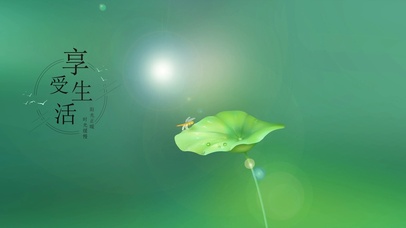 人生文字美丽荷叶