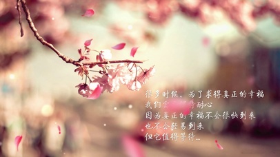 真正的幸福值得等待 桃樱花瓣雨