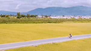 大理洱海