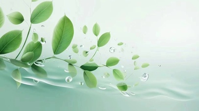 唯美简约 花枝招展