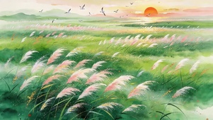 晚霞芦苇