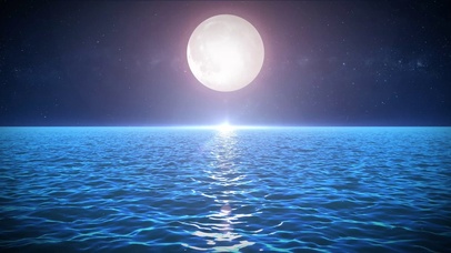 4K海上明月