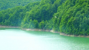 4K绿水青山