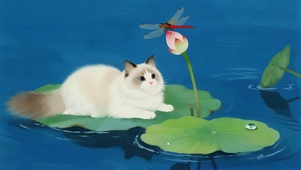 荷叶上猫咪