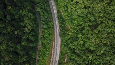 4K 高清 俄罗斯索契的森林