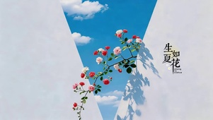夏花