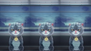 班布猫-遇见日出