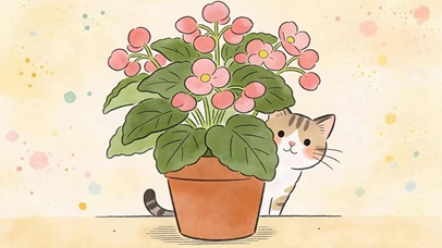 猫咪