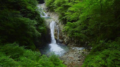 4K绿林山涧溪流