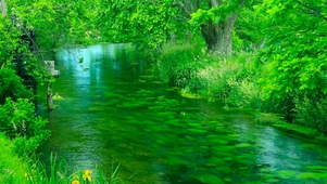 绿色溪流水车