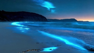 蓝色海洋