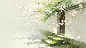 古风樱花飘