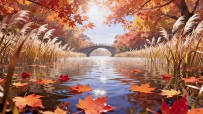枫叶静水
