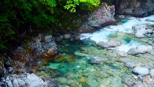 清凉溪流