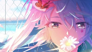 雏菊花