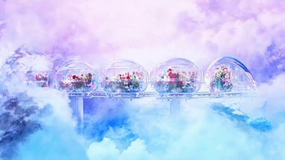 云雾花草树木