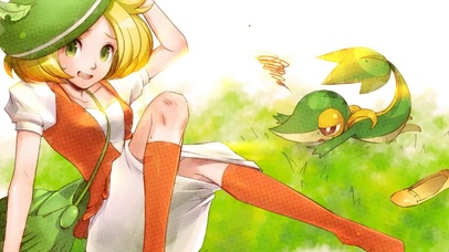 口袋妖怪训练师