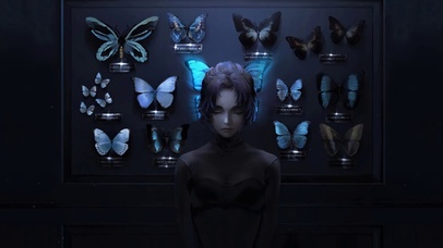 蝴蝶标本
