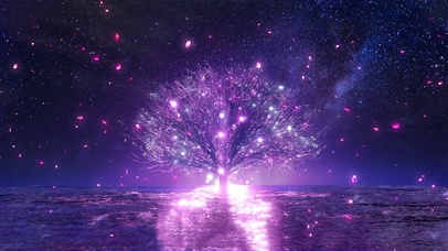 4k星空下樱花树