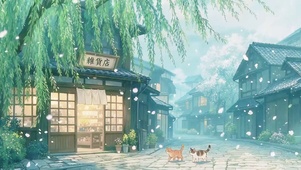 猫猫杂货店