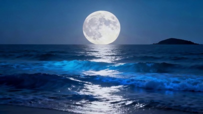 海上生明月