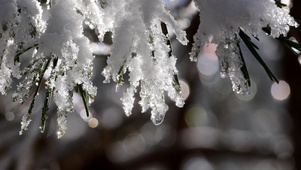 融雪【无缝循环】