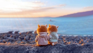 一起看海