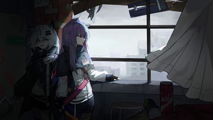 德克萨斯/拉普兰德