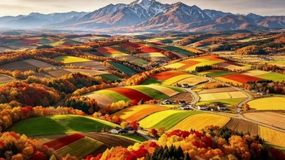 秋野山岚