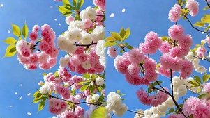 护眼树木